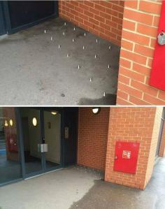 homeless studs